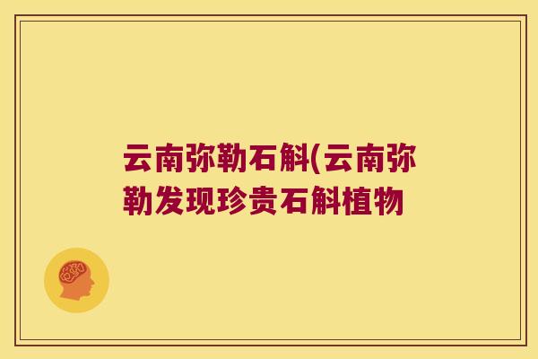 云南弥勒石斛(云南弥勒发现珍贵石斛植物