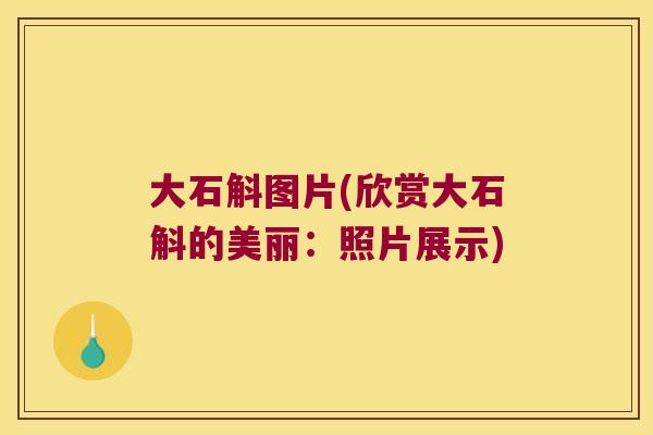 大石斛图片(欣赏大石斛的美丽：照片展示)
