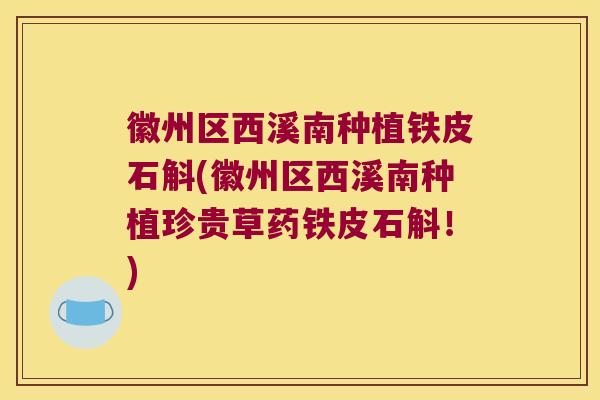 徽州区西溪南种植铁皮石斛(徽州区西溪南种植珍贵草药铁皮石斛！)