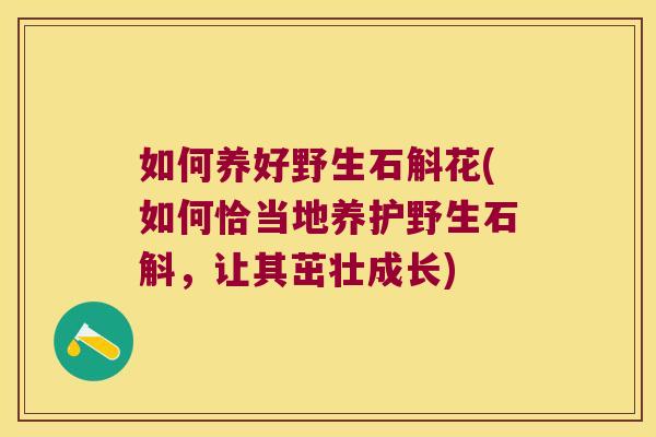 如何养好野生石斛花(如何恰当地养护野生石斛，让其茁壮成长)