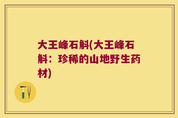 大王峰石斛(大王峰石斛：珍稀的山地野生药材)