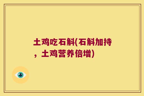 土鸡吃石斛(石斛加持，土鸡营养倍增)