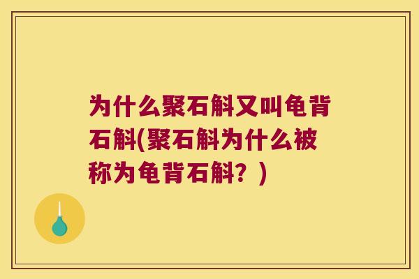 为什么聚石斛又叫龟背石斛(聚石斛为什么被称为龟背石斛？)