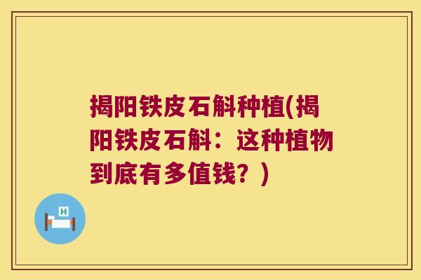 揭阳铁皮石斛种植(揭阳铁皮石斛：这种植物到底有多值钱？)