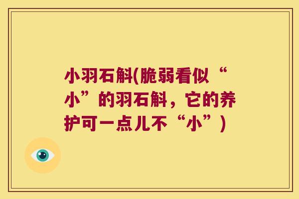 小羽石斛(脆弱看似“小”的羽石斛，它的养护可一点儿不“小”)