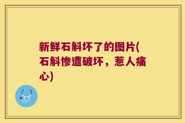 新鲜石斛坏了的图片(石斛惨遭破坏，惹人痛心)