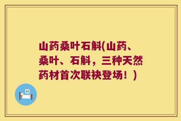 山药桑叶石斛(山药、桑叶、石斛，三种天然药材首次联袂登场！)