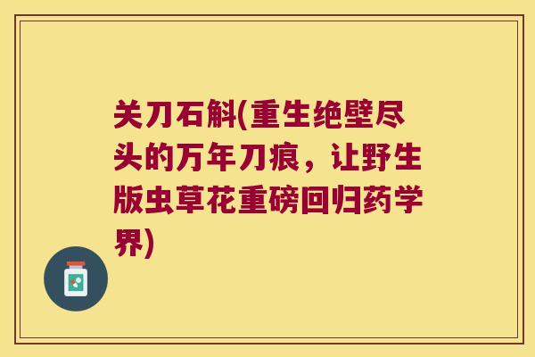 关刀石斛(重生绝壁尽头的万年刀痕,让野生版虫草花重磅回归药学界) 关刀石斛(重生绝壁尽头的万年刀痕,让野生版虫草花重磅回归药学界)