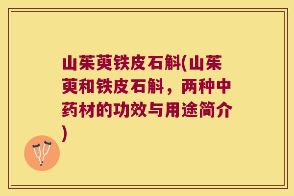 山茱萸铁皮石斛(山茱萸和铁皮石斛，两种中药材的功效与用途简介)