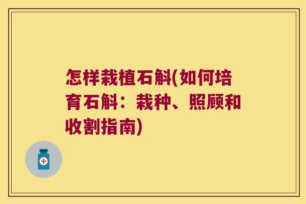 怎样栽植石斛(如何培育石斛：栽种、照顾和收割指南)