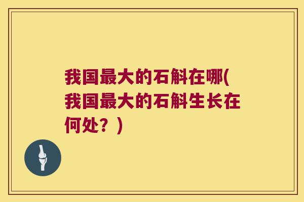我国最大的石斛在哪(我国最大的石斛生长在何处？)