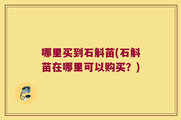 哪里买到石斛苗(石斛苗在哪里可以购买？)