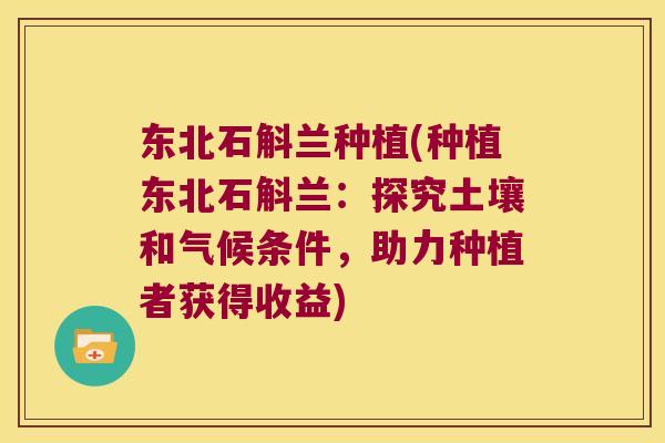东北石斛兰种植(种植东北石斛兰：探究土壤和气候条件，助力种植者获得收益)