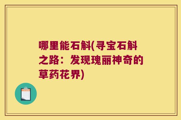 哪里能石斛(寻宝石斛之路：发现瑰丽神奇的草药花界)