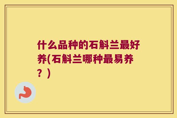 什么品种的石斛兰最好养(石斛兰哪种最易养？)