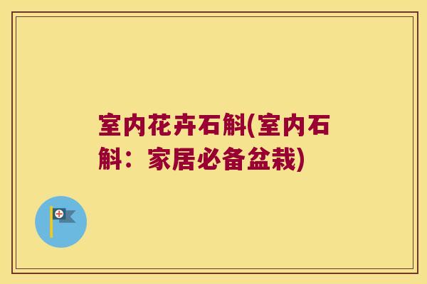 室内花卉石斛(室内石斛：家居必备盆栽)