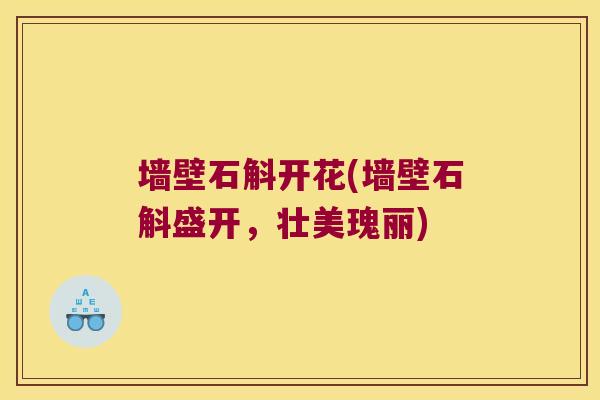 墙壁石斛开花(墙壁石斛盛开,壮美瑰丽) 墙壁石斛开花(墙壁石斛盛开,壮美瑰丽)