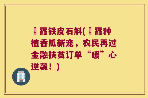 崀霞铁皮石斛(崀霞种植香瓜新宠，农民再过金融扶贫订单“暖”心逆袭！)