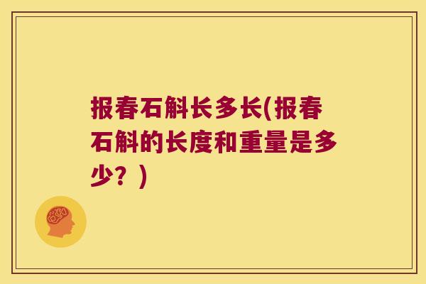 报春石斛长多长(报春石斛的长度和重量是多少？)