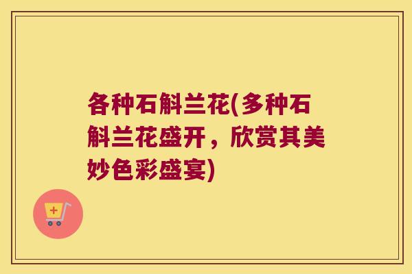 各种石斛兰花(多种石斛兰花盛开，欣赏其美妙色彩盛宴)