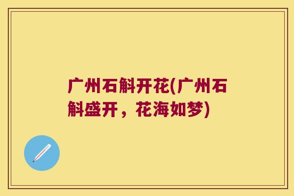 广州石斛开花(广州石斛盛开，花海如梦)
