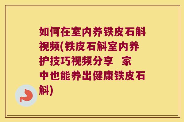 如何在室内养铁皮石斛视频(铁皮石斛室内养护技巧视频分享  家中也能养出健康铁皮石斛)