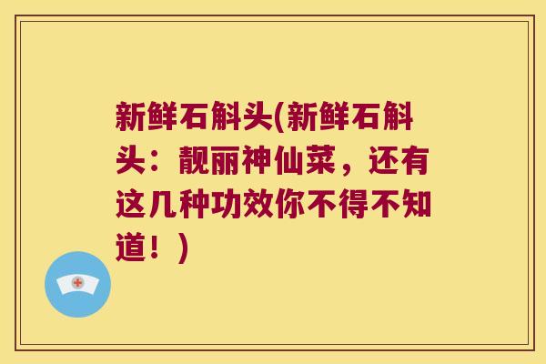 新鲜石斛头(新鲜石斛头:靓丽神仙菜,还有这几种功效你不得不知道!) 新鲜石斛头(新鲜石斛头:靓丽神仙菜,还有这几种功效你不得不知道!)