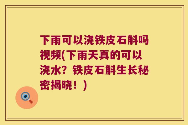 下雨可以浇铁皮石斛吗视频(下雨天真的可以浇水？铁皮石斛生长秘密揭晓！)