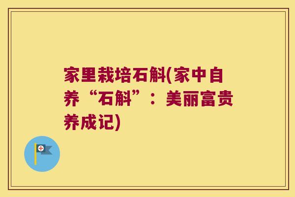 家里栽培石斛(家中自养“石斛”：美丽富贵养成记)