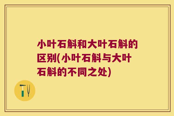 小叶石斛和大叶石斛的区别(小叶石斛与大叶石斛的不同之处)