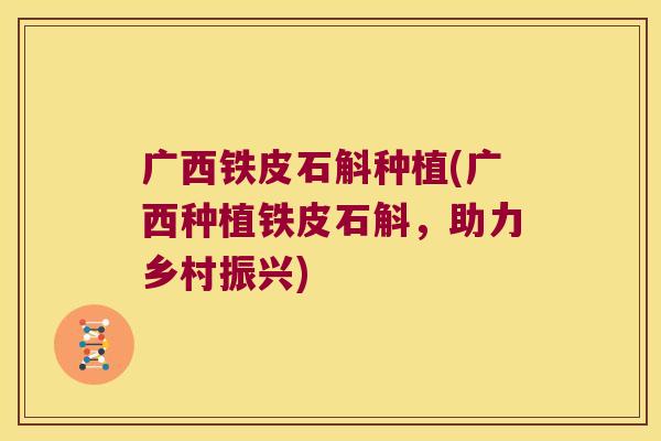 广西铁皮石斛种植(广西种植铁皮石斛,助力乡村振兴) 广西铁皮石斛种植(广西种植铁皮石斛,助力乡村振兴)