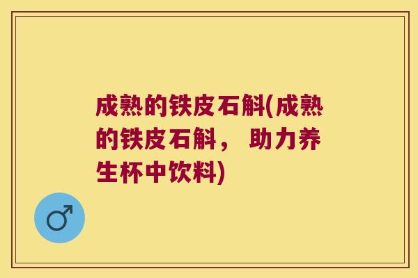 成熟的铁皮石斛(成熟的铁皮石斛, 助力养生杯中饮料) 成熟的铁皮石斛(成熟的铁皮石斛, 助力养生杯中饮料)