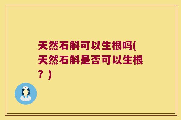 天然石斛可以生根吗(天然石斛是否可以生根？)
