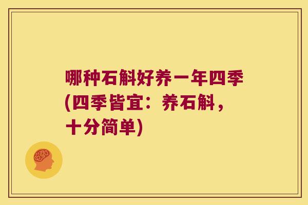 哪种石斛好养一年四季(四季皆宜:养石斛,十分简单) 哪种石斛好养一年四季(四季皆宜:养石斛,十分简单)
