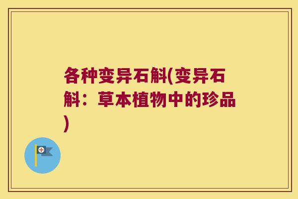 各种变异石斛(变异石斛：草本植物中的珍品)