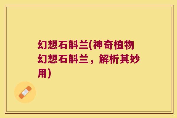 幻想石斛兰(神奇植物幻想石斛兰，解析其妙用)