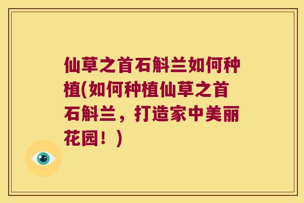 仙草之首石斛兰如何种植(如何种植仙草之首石斛兰，打造家中美丽花园！)