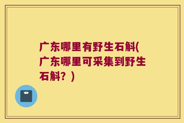 广东哪里有野生石斛(广东哪里可采集到野生石斛？)