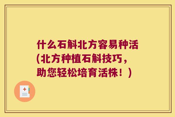 什么石斛北方容易种活(北方种植石斛技巧，助您轻松培育活株！)
