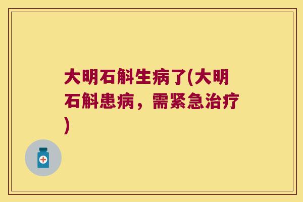 大明石斛生了(大明石斛患,需紧急) 大明石斛生了(大明石斛患,需紧急)