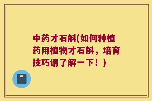 中药才石斛(如何种植药用植物才石斛，培育技巧请了解一下！)