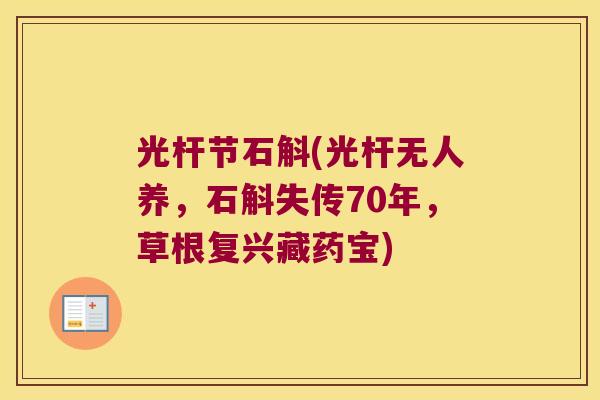 光杆节石斛(光杆无人养,石斛失传70年,草根复兴藏药宝) 光杆节石斛(光杆无人养,石斛失传70年,草根复兴藏药宝)