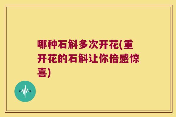 哪种石斛多次开花(重开花的石斛让你倍感惊喜)