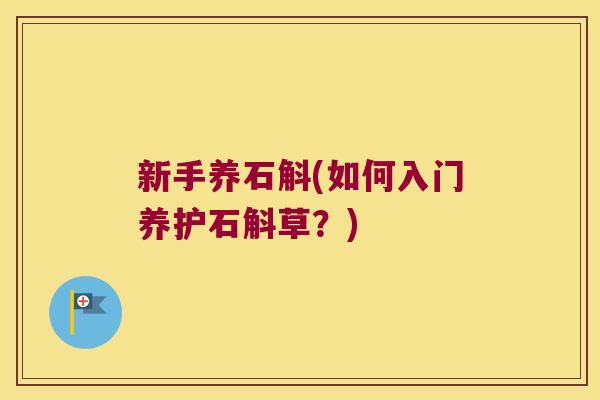 新手养石斛(如何入门养护石斛草？)