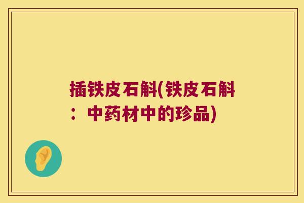 插铁皮石斛(铁皮石斛：中药材中的珍品)
