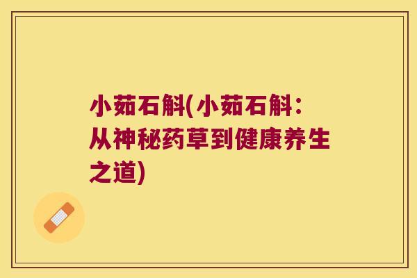 小茹石斛(小茹石斛：从神秘药草到健康养生之道)