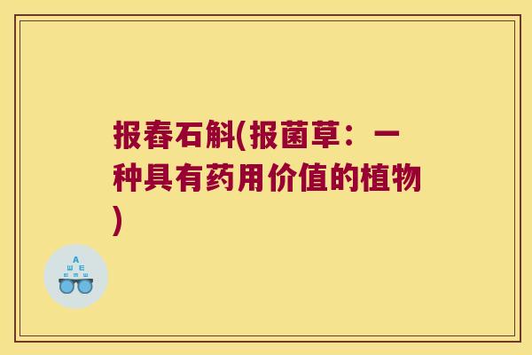报舂石斛(报菌草：一种具有药用价值的植物)
