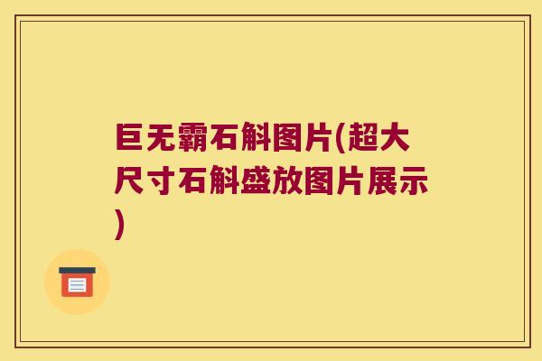 巨无霸石斛图片(超大尺寸石斛盛放图片展示)