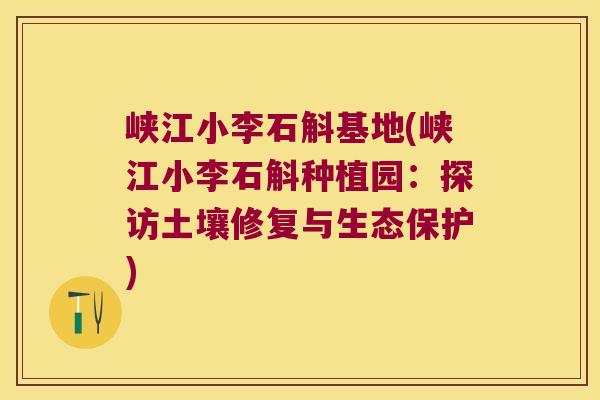 峡江小李石斛基地(峡江小李石斛种植园：探访土壤修复与生态保护)