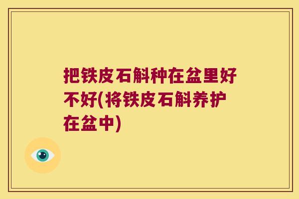 把铁皮石斛种在盆里好不好(将铁皮石斛养护在盆中) 把铁皮石斛种在盆里好不好(将铁皮石斛养护在盆中)